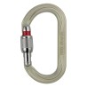 Petzl High Strength Steel Carabiner Screw-Lock 22 mm Gate Opening M72A SL