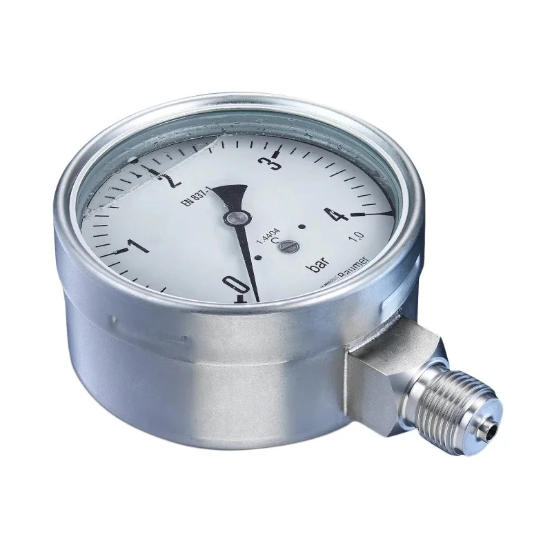 Bourdon 100 mm G 1/2 Bottom Pressure Gauge 25 bar MEX5-D31.B26