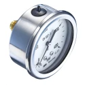 Bourdon 63 mm G 1/4 Pressure Gauge, 6 bar, Stainless Steel Case, Back Entry MIT3-F20.B20