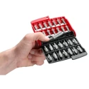 Facom Hex, Phillips, Pozidriv, Slotted, Torx Screwdriver Bit Set 28 Pieces Polyamide Case E.120PB