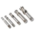 RS PRO High-Speed Steel End Mill with 6mm Screwed Shank, 4 Flutes, Centre Cutting, 100mm Length, 5 Pieces Set 136-8073