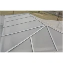  dreamwork-ss-skylight-roof-46786-1