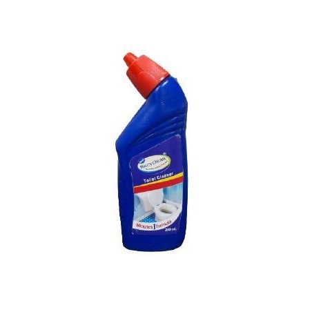 recyclean-toilet-cleaner-200-ml-4849