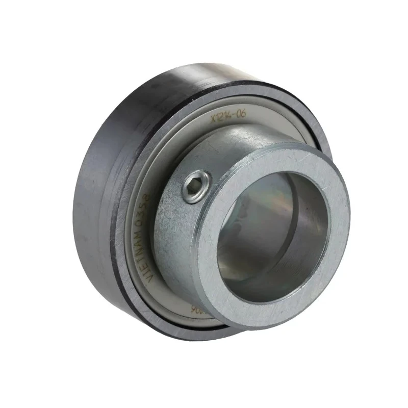 INA Steel Bearing Insert 30 mm ID 62 mm OD Sealed Radial Ball Bearing RAE30-XL-NPP-FA106