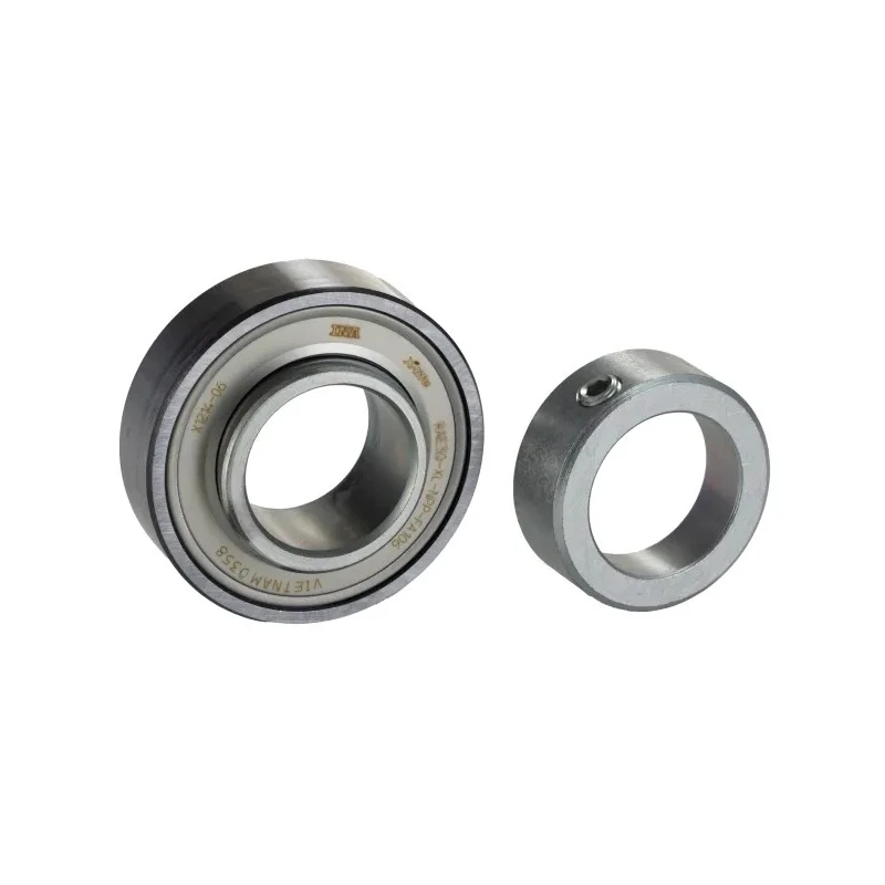 INA Steel Bearing Insert 30 mm ID 62 mm OD Sealed Radial Ball Bearing RAE30-XL-NPP-FA106