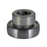 INA Bearing Insert 20 mm ID 47 mm OD Steel Sealed Parallel Bore GRAE20-XL-NPP-B