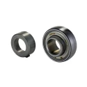INA Bearing Insert 20 mm ID 47 mm OD Steel Sealed Parallel Bore GRAE20-XL-NPP-B
