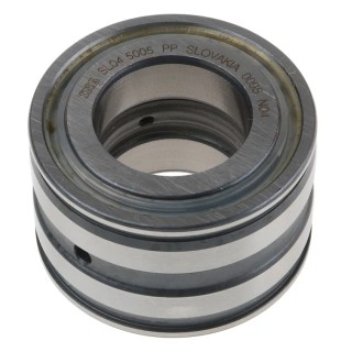 INA Double Row Full Complement Cylindrical Roller Bearing 25 mm Inside Diameter 47 mm Outside Diameter Sealed SL045005-PP