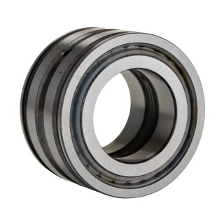 INA Double Row Sealed Cylindrical Roller Bearing 35 mm ID 62 mm OD SL045007-PP