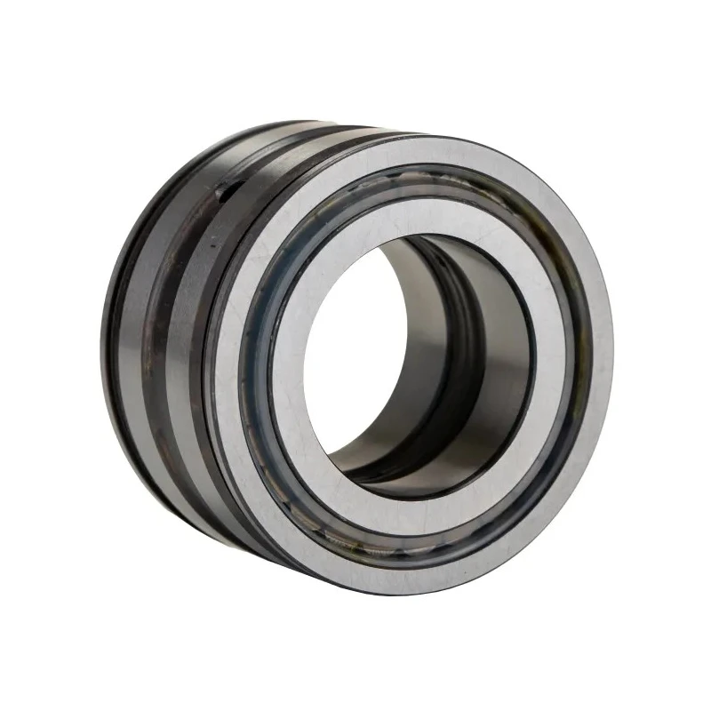 INA Double Row Sealed Cylindrical Roller Bearing 35 mm ID 62 mm OD SL045007-PP