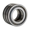 INA Double Row Sealed Cylindrical Roller Bearing 35 mm ID 62 mm OD SL045007-PP