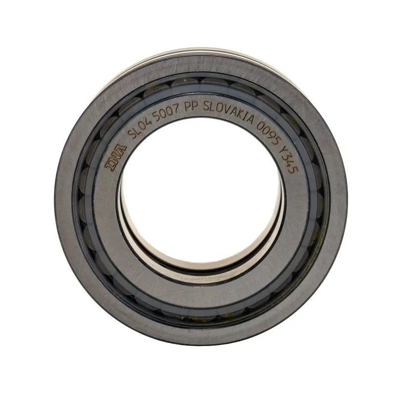 INA Double Row Sealed Cylindrical Roller Bearing 35 mm ID 62 mm OD SL045007-PP