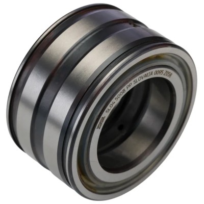 INA Double Row Full Complement Cylindrical Roller Bearing 40 mm Inside Diameter 68 mm Outside Diameter SL045008-PP