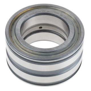 INA Double Row Full Complement Cylindrical Roller Bearing 45 mm ID, 75 mm OD, 40 mm Race Width, Sealed Ends SL045009-PP