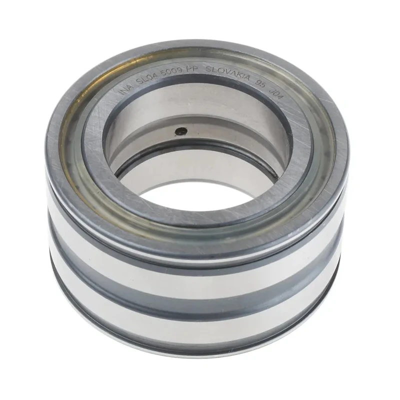 INA Double Row Full Complement Cylindrical Roller Bearing 45 mm ID, 75 mm OD, 40 mm Race Width, Sealed Ends SL045009-PP