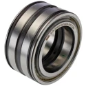 INA Roller Bearing 50 mm ID, 80 mm OD, 40 mm Race Width, Parallel Bore Type, Two-Row, Sealed SL045010-PP