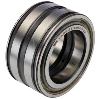 INA Roller Bearing 50 mm ID, 80 mm OD, 40 mm Race Width, Parallel Bore Type, Two-Row, Sealed SL045010-PP