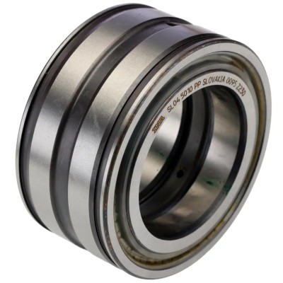 INA Roller Bearing 50 mm ID, 80 mm OD, 40 mm Race Width, Parallel Bore Type, Two-Row, Sealed SL045010-PP
