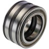 INA Roller Bearing 50 mm ID, 80 mm OD, 40 mm Race Width, Parallel Bore Type, Two-Row, Sealed SL045010-PP