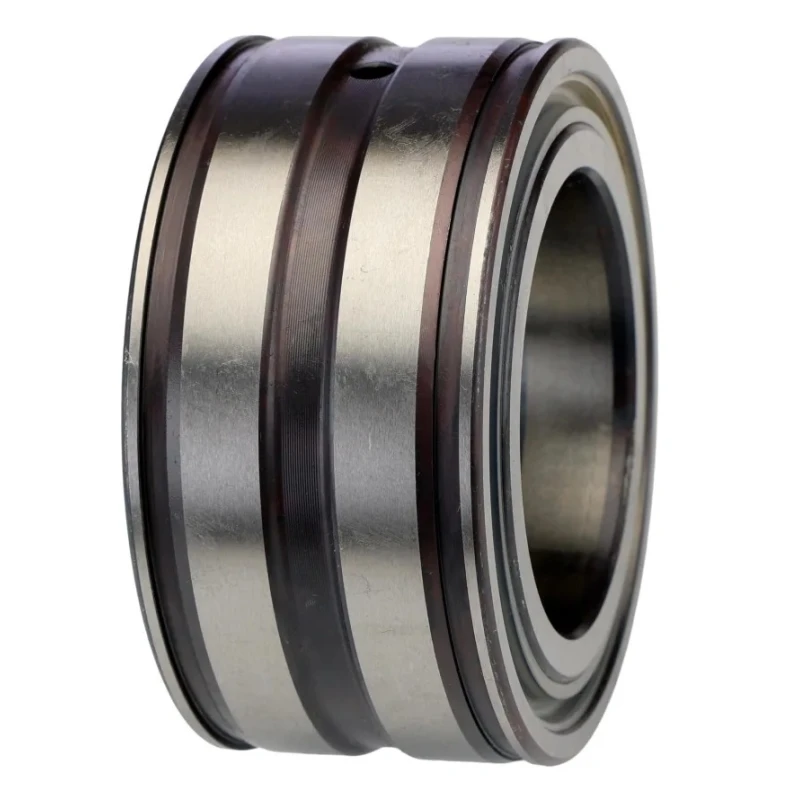 INA Roller Bearing 50 mm ID, 80 mm OD, 40 mm Race Width, Parallel Bore Type, Two-Row, Sealed SL045010-PP
