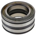 INA Roller Bearing 50 mm ID, 80 mm OD, 40 mm Race Width, Parallel Bore Type, Two-Row, Sealed SL045010-PP