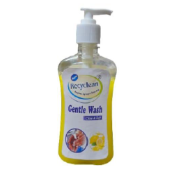 recyclean-gentle-wash-250-ml-4868