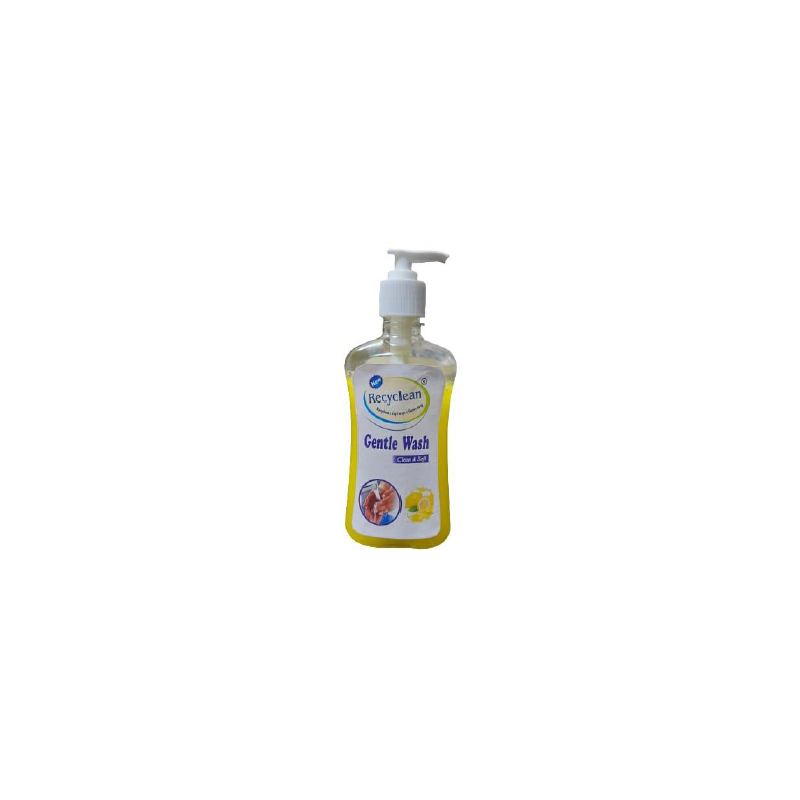 recyclean-gentle-wash-250-ml-4868