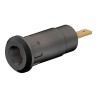 Staubli Black Female Banana Socket 2 mm Connector Press Fit Termination 600V 10A Gold Plating 65.9099-21