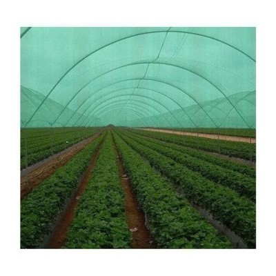 abf-low-tunnel-shade-net-house-46917