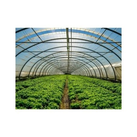 abf-polyhouse-construction-service-46920