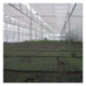 ABF Agriculture Greenhouse Service
