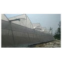 abf-naturally-ventilated-greenhouse-46925