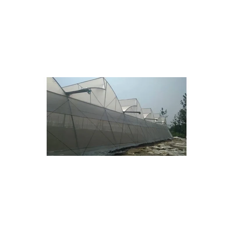 abf-naturally-ventilated-greenhouse-46925
