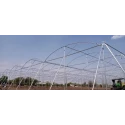  abf-naturally-ventilated-greenhouse-46925-1