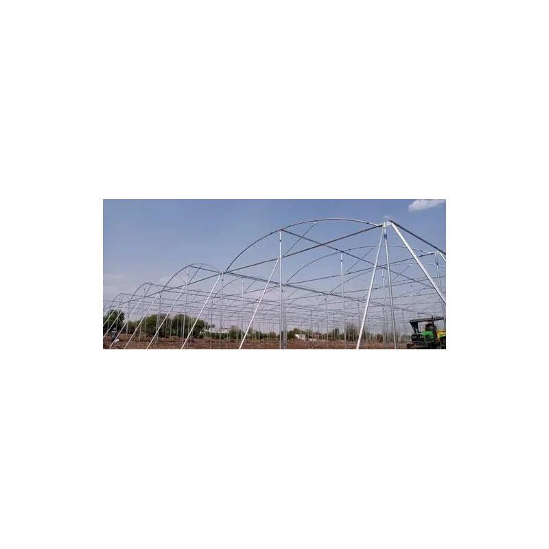  abf-naturally-ventilated-greenhouse-46925-1