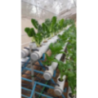 ABF Hydroponics Poly House