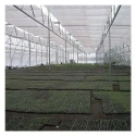 abf-agriculture-greenhouse-service-46921