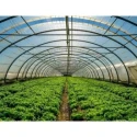  abf-greenhouse-construction-services-46922-4