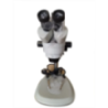 REM Stereo Zoom Binocular Microscope Input Voltage 220V