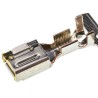 TE Connectivity Dynamic 5000 Series Female Crimp Terminal, 15A, Gold Plated Copper Alloy, 12 AWG to 10 AWG Wire 179956-2