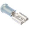 TE Connectivity PIDG FASTON .250 Blue Insulated Female Spade Connector Crimp 6.35 x 0.81 mm Tab Size 17 AWG to 13 9-160313-5