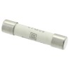 Schurter 12.5A Time Delay Ceramic Cartridge Fuse 6.3 x 32 mm 500V ac 8020.5022.G