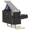 Omron Aratas Hinge Lever Micro Switch Right Angle PCB Terminal 2A SPDT IP67 D2HW-BR211DR