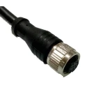 RS PRO Female 12 Way Straight to Unterminated Free End Sensor Actuator Cable, 2 m, Polyurethane Jacket, Black, 30V 144-7675