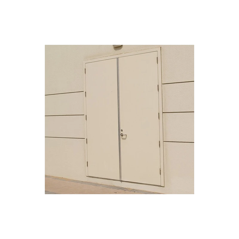 ss-acoustic-door-5479