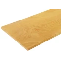 Bott Beech Plywood Worktop 600mm Width x 1.5m Length x 30mm Height Portable Workshop Surface 11201113MPX