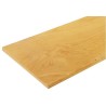 Bott Beech Plywood Worktop 600mm Width x 1.5m Length x 30mm Height Portable Workshop Surface 11201113MPX