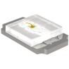 ROHM 1.9 V Green, Yellow LED 0402 Surface Mount Package SML-P11MTT86