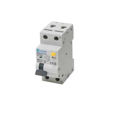 Europa Residual Current Circuit Breaker with Overload Protection, 16A Current Rating, 2-Pole, 30 mA Trip EUBLMC16C30A