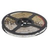 RS PRO 12V Warm White LED Strip, 3200K Colour Temperature, 10 Meter Length 153-3638